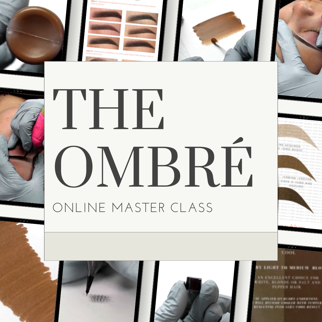 The Ombré Master Class